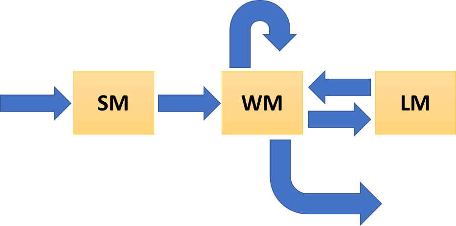 Simplified figure about the IPM